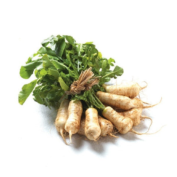 [Galleria] Bachelor Radish 1bunch - Vegetables