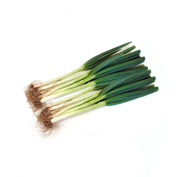 [Galleria] Large Green Onion 2Bunches - Vegetables