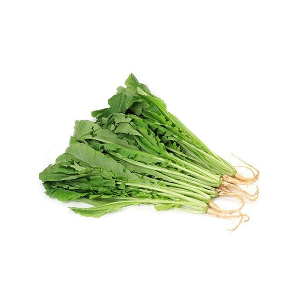 [Galleria] Young Radish 2bunches - Vegetables