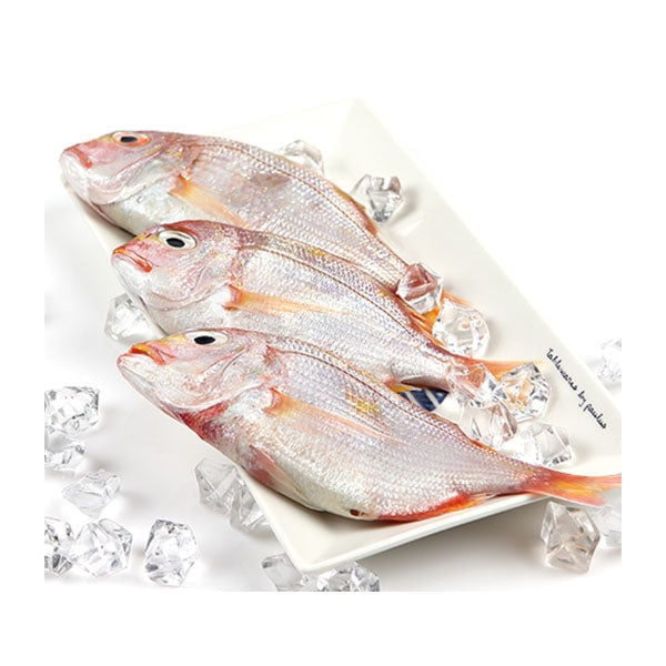 [Jeju] Frozen Seabream Approx 15.41lb (55-60pcs) - Seafood